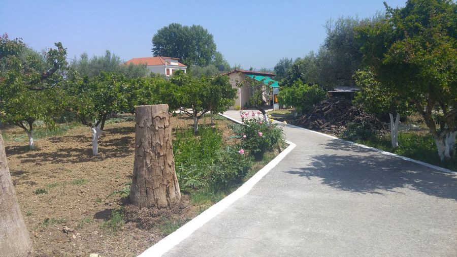 Οικόπεδο 4.000 τ.μ. προς πώληση, Αχαΐα, Παραλία