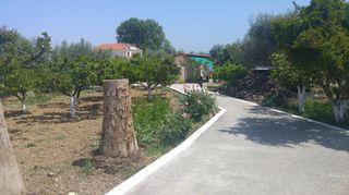 Οικόπεδο 4.000 τ.μ. προς πώληση, Κέντρο Παραλίας Αχαΐας-thumb-3