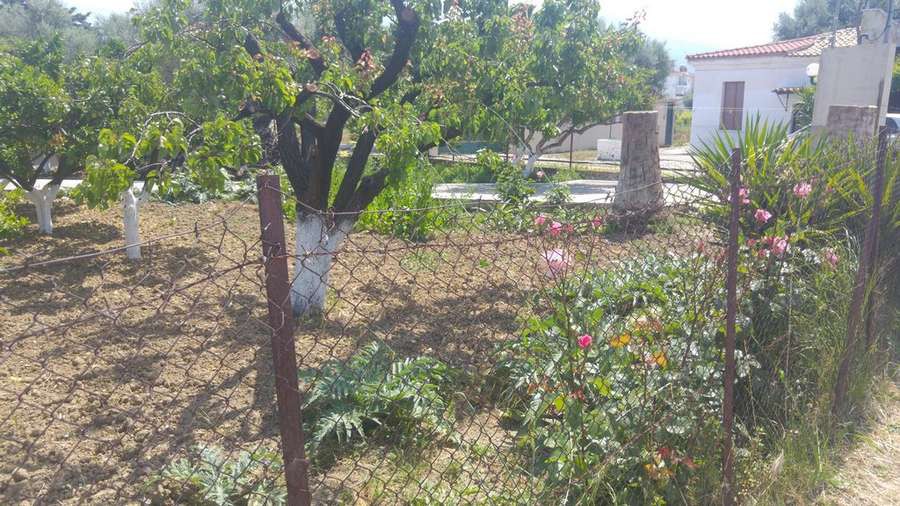 Οικόπεδο 4.000 τ.μ. προς πώληση, Αχαΐα, Παραλία