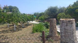 Οικόπεδο 4.000 τ.μ. προς πώληση, Κέντρο Παραλίας Αχαΐας-thumb-15