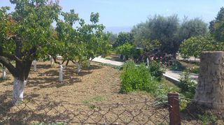 Οικόπεδο 4.000 τ.μ. προς πώληση, Κέντρο Παραλίας Αχαΐας-thumb-20