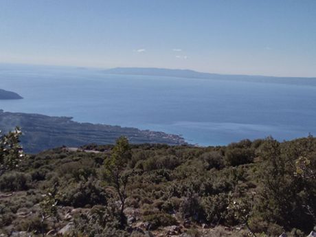 Αγροτεμάχια 27.000 τ.μ. για πώληση