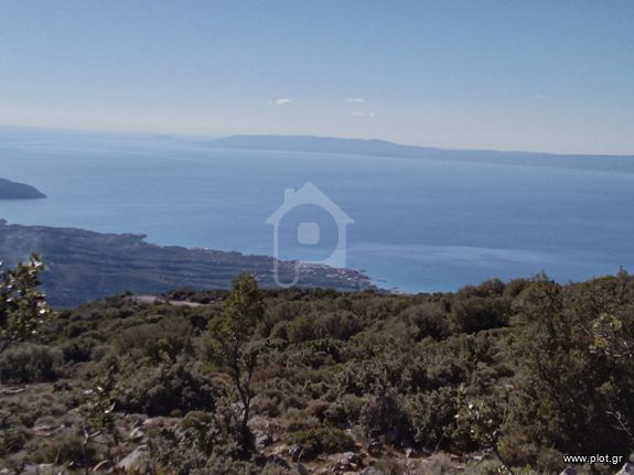 Αγροτεμάχια 27.000 τ.μ. για πώληση, Μεσσηνία, Καλαμάτα