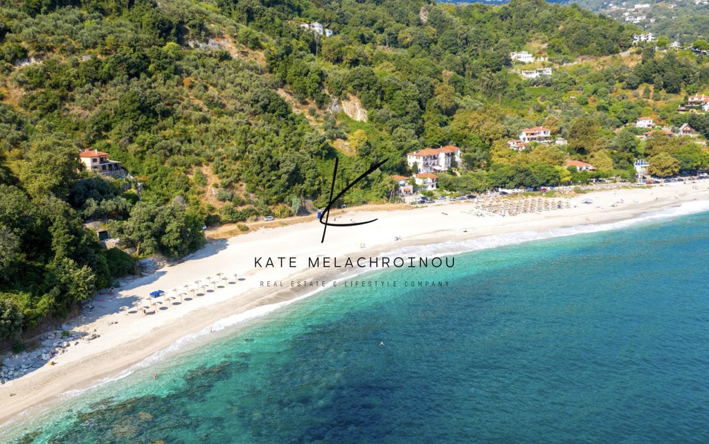 Ξενοδοχείο 2.980 τ.μ. πρός πώληση, Μαγνησία, Μούρεσι