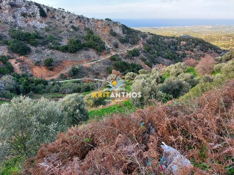 Parcel 4.000sqm for sale-Arkadi » Kyrianna