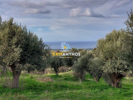 Parcel 2.300sqm for sale-Arkadi » Kyrianna