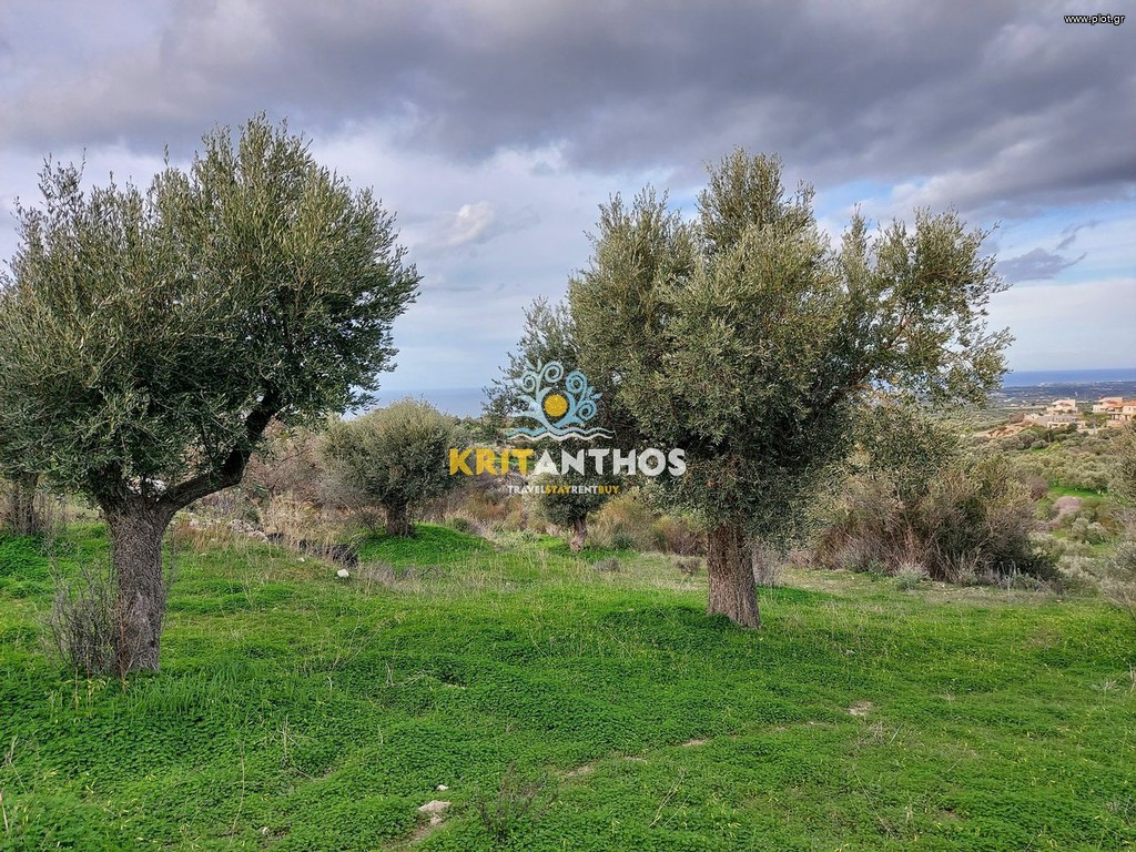 Αγροτεμάχια 2.300 τ.μ. πρός πώληση, Ν. Ρεθύμνου, Αρκάδι