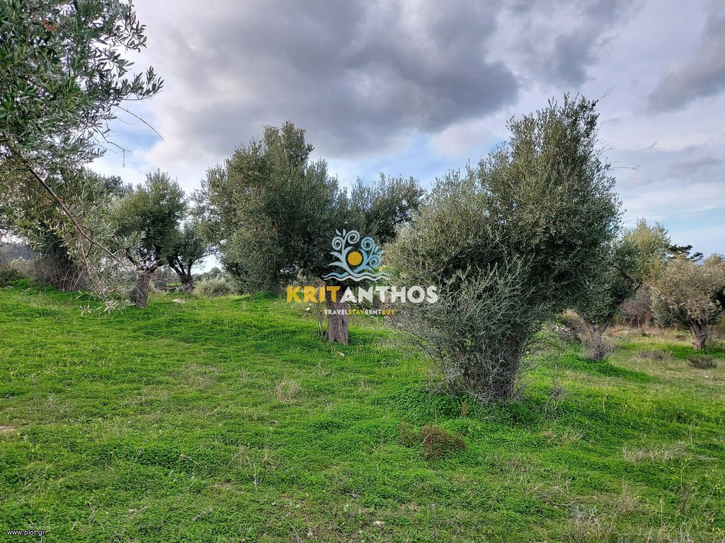 Αγροτεμάχια 2.300 τ.μ. πρός πώληση, Ν. Ρεθύμνου, Αρκάδι