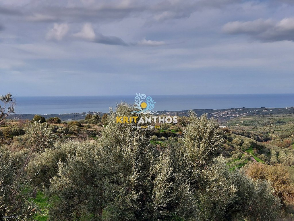 Αγροτεμάχια 2.300 τ.μ. πρός πώληση, Ν. Ρεθύμνου, Αρκάδι