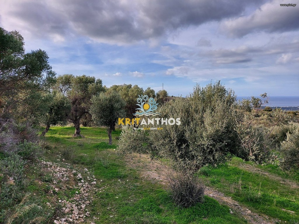 Αγροτεμάχια 2.300 τ.μ. πρός πώληση, Ν. Ρεθύμνου, Αρκάδι