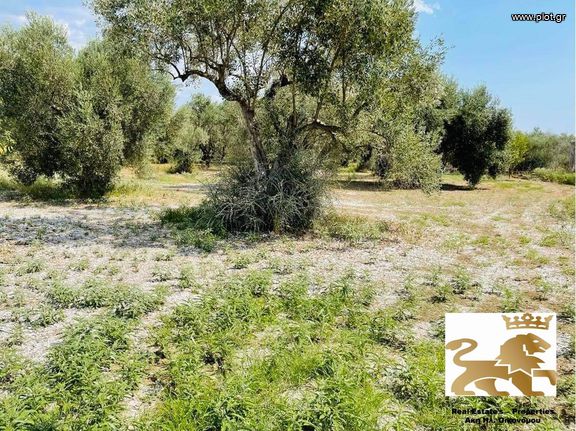 Parcel 6.000 sqm for sale, Phthiotis, Lamia