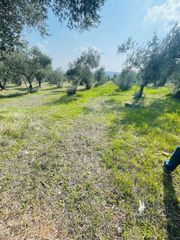 Αγροτεμάχια 22.000 τ.μ. για πώληση, Φθιώτιδας, Λαμία-thumb-3