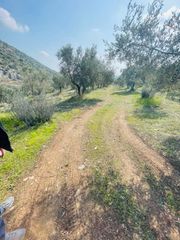 Αγροτεμάχια 22.000 τ.μ. για πώληση, Φθιώτιδας, Λαμία-thumb-4