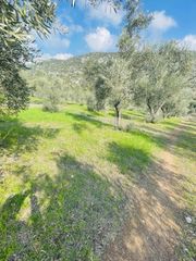 Αγροτεμάχια 22.000 τ.μ. για πώληση, Φθιώτιδας, Λαμία-thumb-6