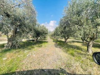 Αγροτεμάχια 22.000 τ.μ. για πώληση, Φθιώτιδας, Λαμία-thumb-16