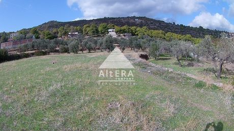 Land plot 3.500sqm for sale-Aegina » Portes