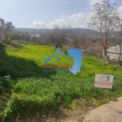 Οικόπεδο 740 τ.μ. για πώληση, Ν. Χίου, Χίος-thumb-3