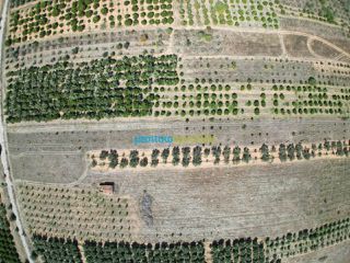 Αγροτεμάχια 6.000 τ.μ. πρός πώληση, Αργολίδα, Μυκήνες-thumb-4