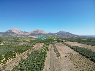 Αγροτεμάχια 6.000 τ.μ. πρός πώληση, Αργολίδα, Μυκήνες-thumb-2