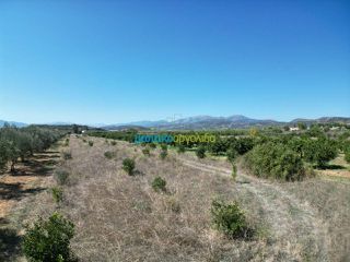 Αγροτεμάχια 6.000 τ.μ. πρός πώληση, Αργολίδα, Μυκήνες-thumb-1