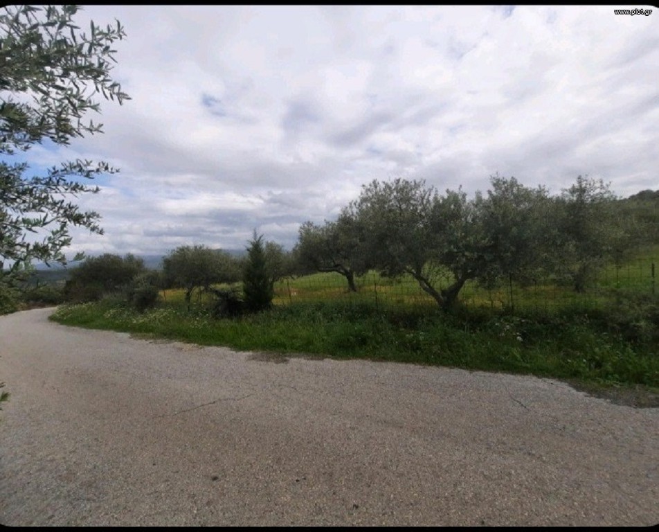 Οικόπεδο 16.633 τ.μ. προς πώληση, Χορευτιανά