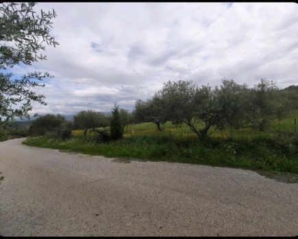 Οικόπεδο 16.633τ.μ. για πώληση-Κίσσαμος » Χορευτιανά