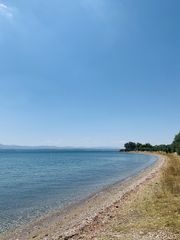 Αγροτεμάχια 40.000 τ.μ. για πώληση