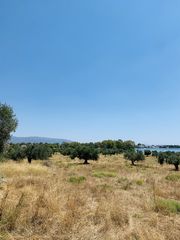 Αγροτεμάχια 40.000 τ.μ. προς πώληση, Κέντρο Ερέτριας-thumb-1
