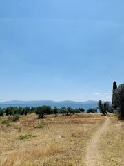 Αγροτεμάχια 40.000 τ.μ. προς πώληση, Κέντρο Ερέτριας-thumb-3