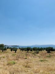 Αγροτεμάχια 40.000 τ.μ. προς πώληση, Κέντρο Ερέτριας-thumb-2