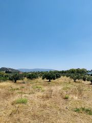 Αγροτεμάχια 40.000 τ.μ. προς πώληση, Κέντρο Ερέτριας-thumb-4
