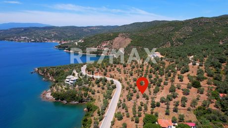 Parcel 4.010sqm for sale-Sipiada » Milina