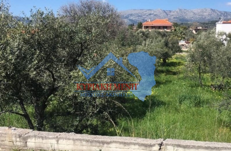 Οικόπεδο 1.015 τ.μ. πρός πώληση, Ν. Χίου, Χίος