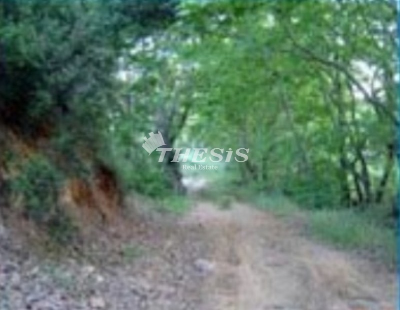 Οικόπεδο 5.016 τ.μ. προς πώληση, Παραλία Βαρνάβα