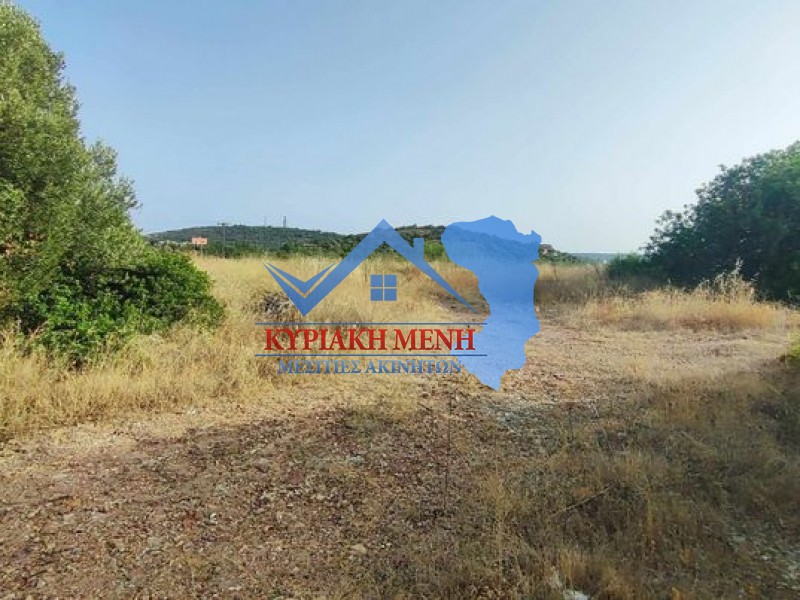 Οικόπεδο 2.100 τ.μ. προς πώληση, Άγιος Μηνάς Χίου