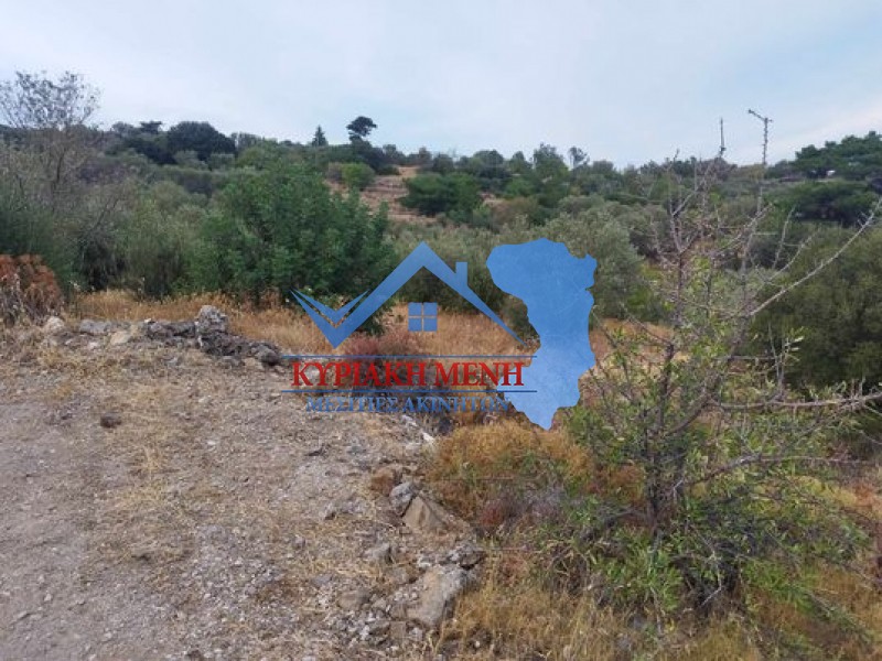 Αγροτεμάχια 3.428 τ.μ. προς πώληση, Ομηρούπολη
