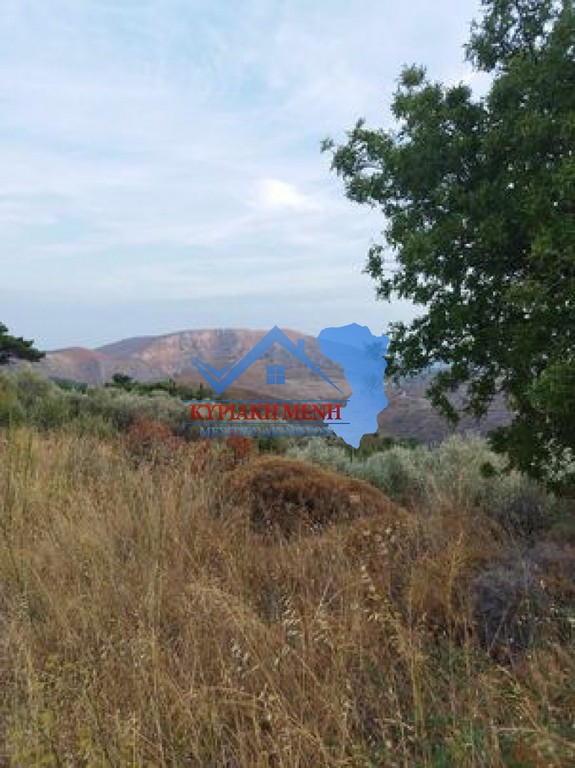 Αγροτεμάχια 3.428 τ.μ. προς πώληση, Ομηρούπολη