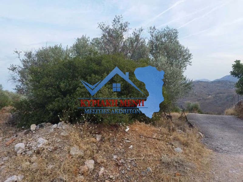 Αγροτεμάχια 3.428 τ.μ. προς πώληση, Ομηρούπολη