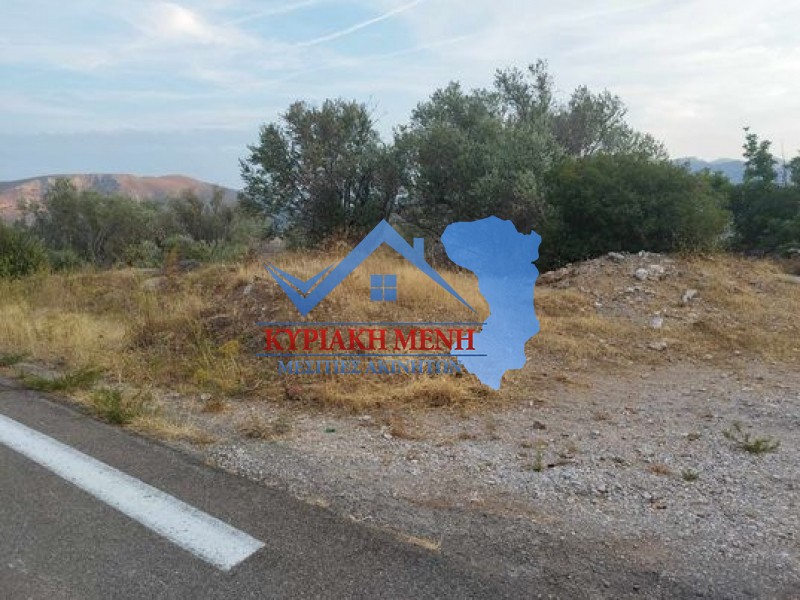 Αγροτεμάχια 3.428 τ.μ. προς πώληση, Ομηρούπολη
