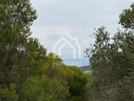 Οικόπεδο 9.063τ.μ. για πώληση-Κασσάνδρα » Κασσανδρηνό