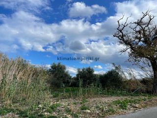 Οικόπεδο 1.007 τ.μ. για πώληση, Ν. Χανίων, Πλατανιάς-thumb-6