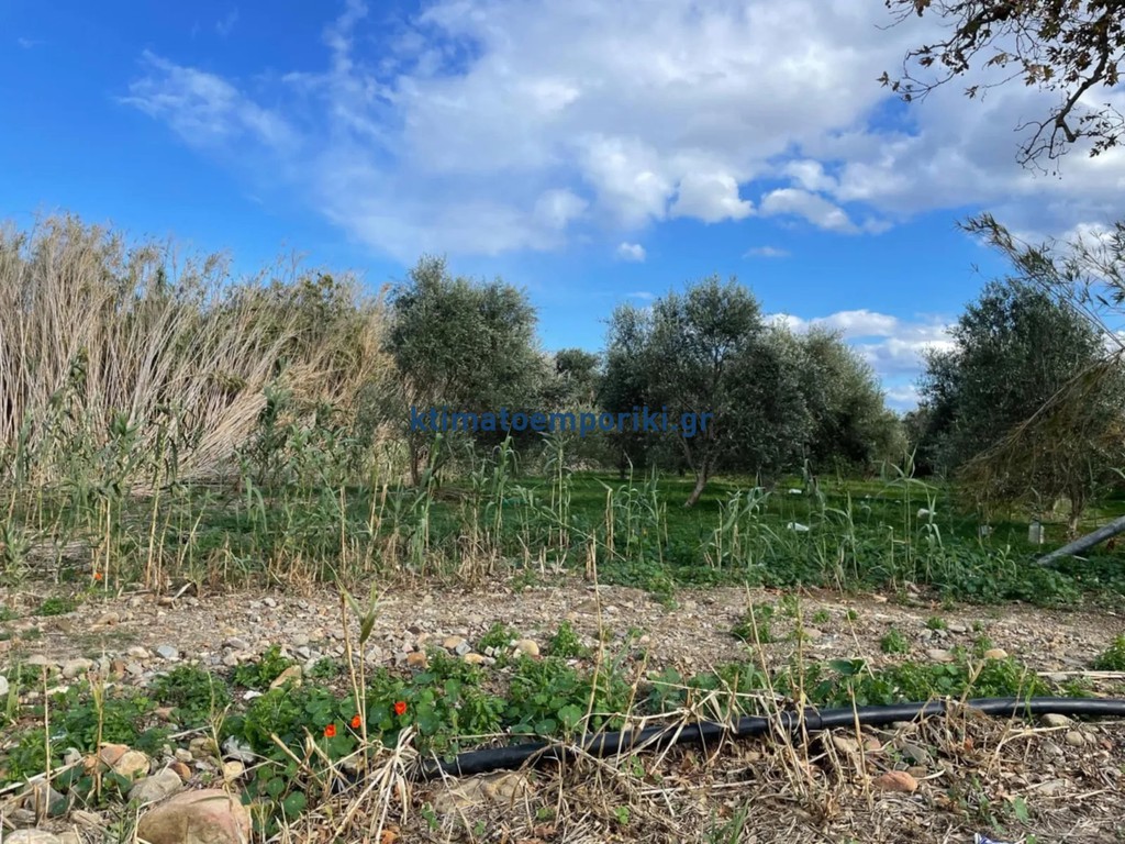Οικόπεδο 1.007 τ.μ. πρός πώληση, Ν. Χανίων, Πλατανιάς
