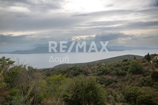 Οικόπεδο 1.030 τ.μ. για πώληση, Μαγνησία, Τρικέρι-thumb-9