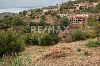 Οικόπεδο 1.030 τ.μ. για πώληση, Μαγνησία, Τρικέρι-thumb-15