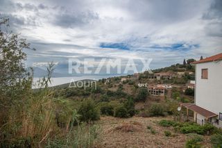 Οικόπεδο 1.030 τ.μ. για πώληση, Μαγνησία, Τρικέρι-thumb-7