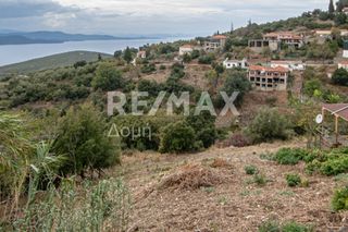 Οικόπεδο 1.030 τ.μ. για πώληση, Μαγνησία, Τρικέρι-thumb-6