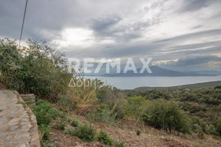 Οικόπεδο 1.030 τ.μ. για πώληση, Μαγνησία, Τρικέρι-thumb-10