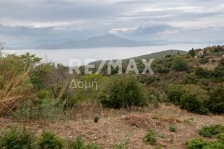 Οικόπεδο 1.030 τ.μ. για πώληση, Μαγνησία, Τρικέρι-thumb-13