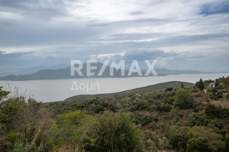 Οικόπεδο 1.030 τ.μ. πρός πώληση, Μαγνησία, Τρικέρι