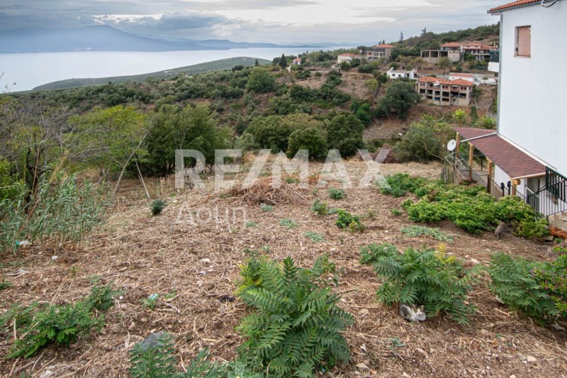 Οικόπεδο 1.030 τ.μ. πρός πώληση, Μαγνησία, Τρικέρι